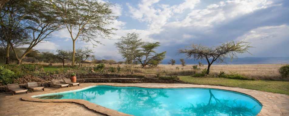 Swimming Pool - Lewa House