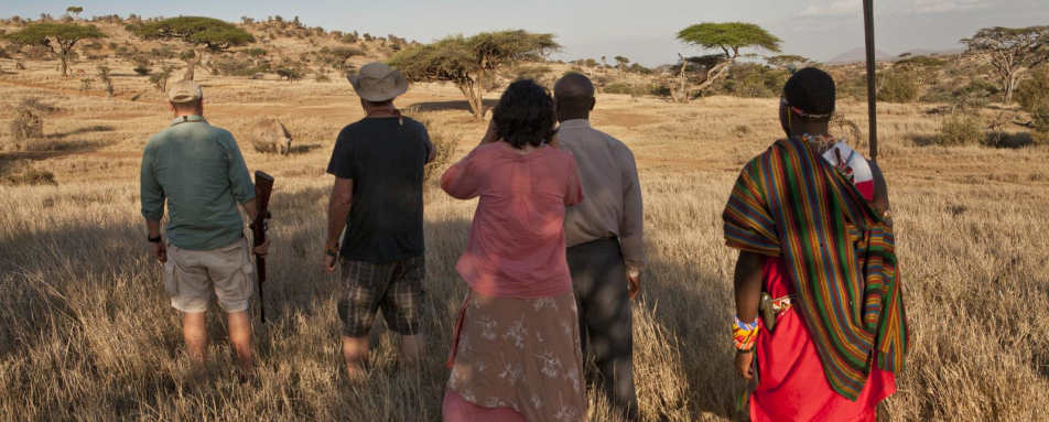 Walking Safari and White Rhino - Lewa House