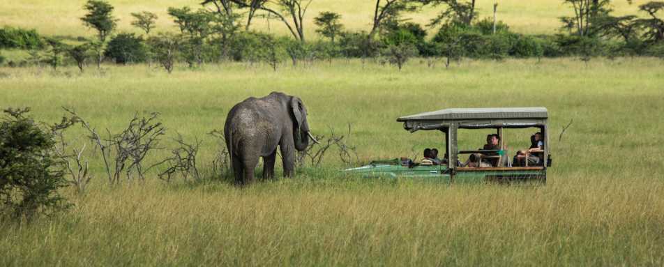 Game drive 
