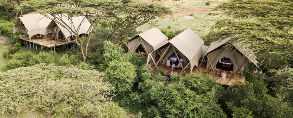 Aerial view of tents 