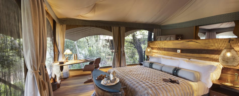 Treetop suite  