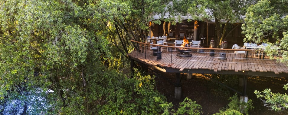 Main area in Forest canopy 