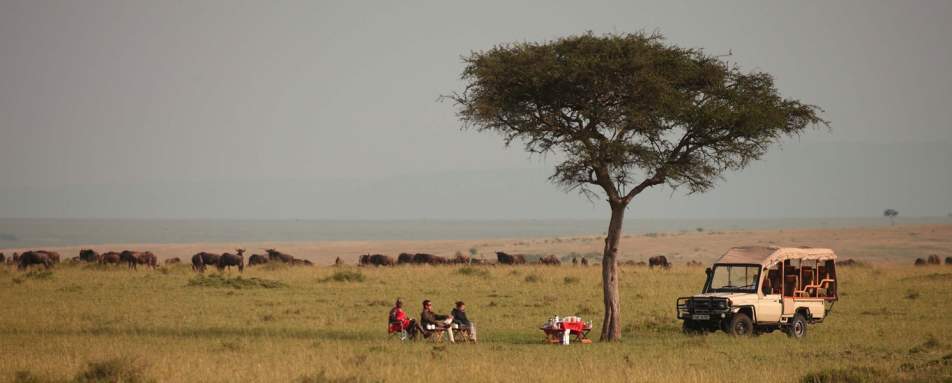 Game drive drinks - Naibor
