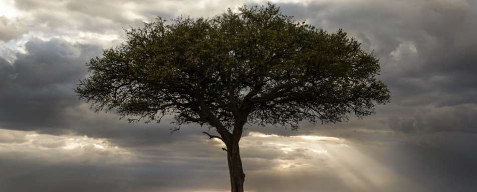 Sundowners - Offbeat Mara Camp