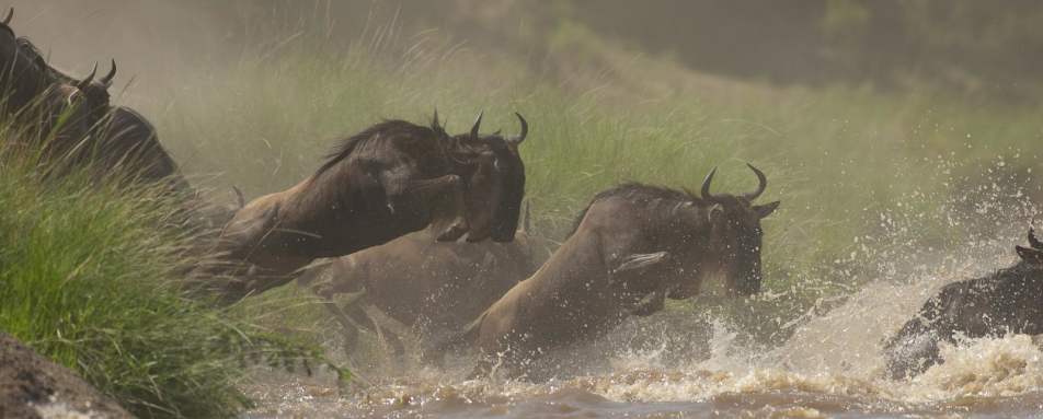A crossing - Offbeat Mara Camp