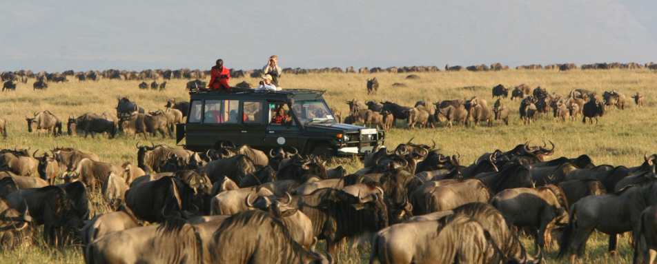 The migration arrives at Rekero - Rekero Camp