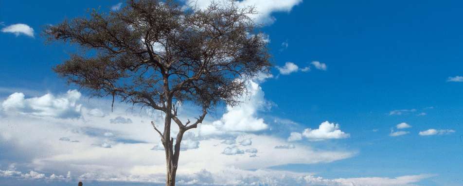 Bush breakfast - Rekero Camp