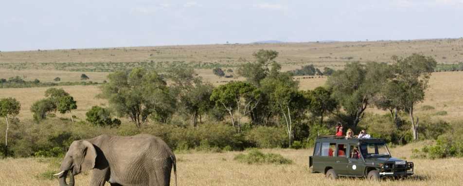Game drives on the Mara Plains - Rekero Camp