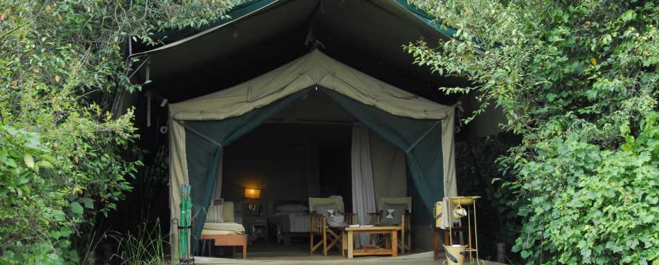 Guest Tent - Rekero Camp