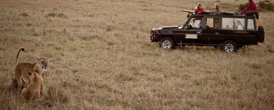 Game drive - Sala's Camp