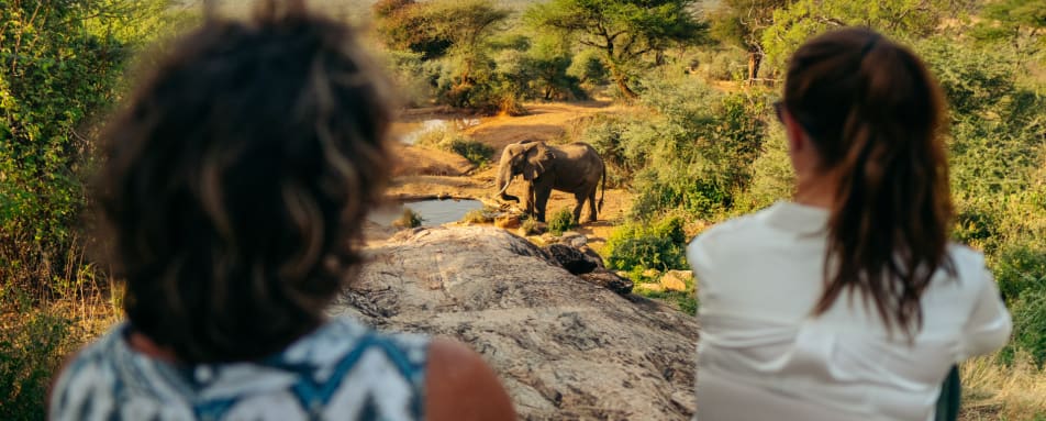 SararaCamp13Waterhole 