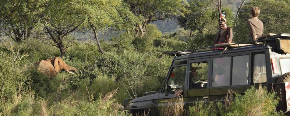 Game drives 