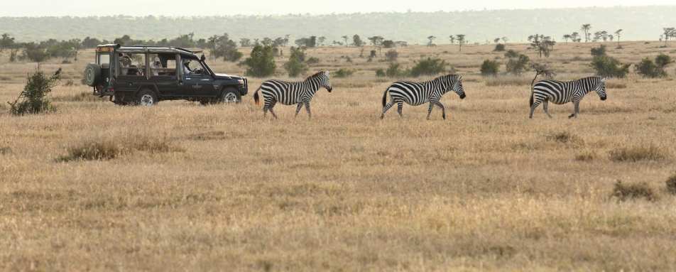 Safari in Laikipia 