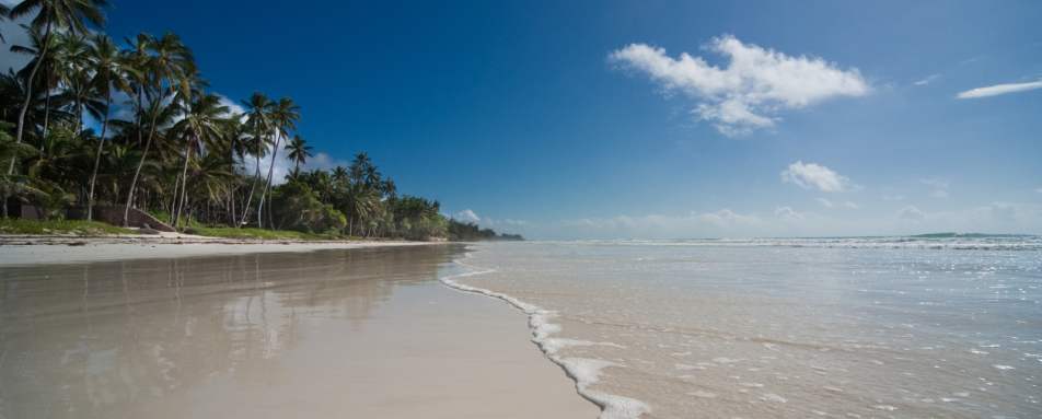 Diani Beach 
