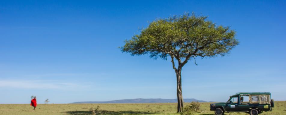 Game drive in Mara