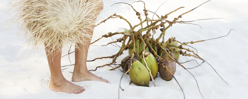 Coconuts on the beach  