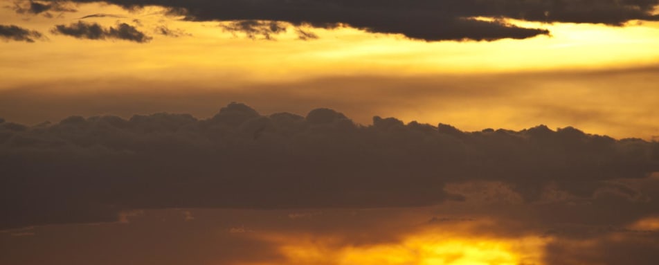 Sunset - Laikipia rhinos and Mara Cats