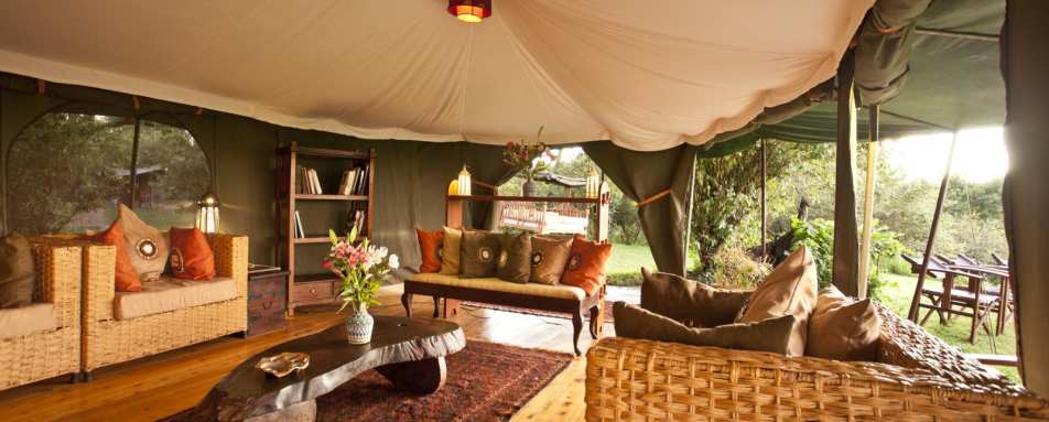 Sala's Main Tent - Laikipia rhinos and Mara cats