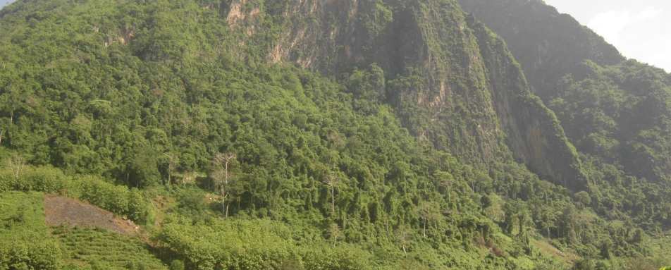 Views  - Nong Kiau Riverside