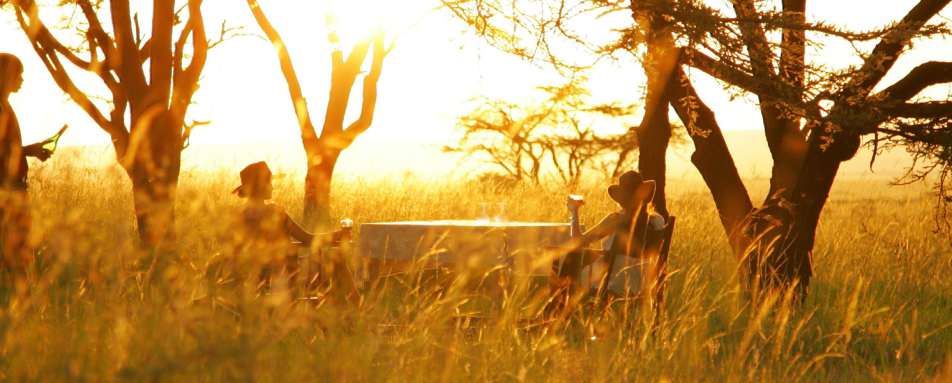 Couples wildlife and safari