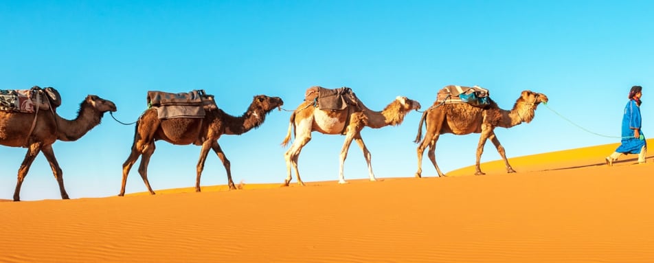 A journey through time