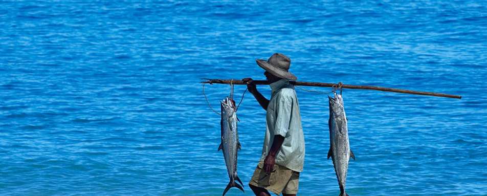 Fisherman - Constance Lodge Tsarabanjina