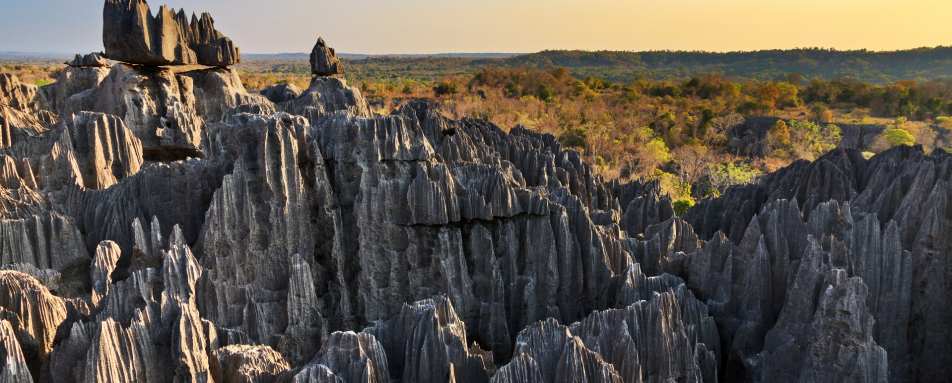 Tsingy de Bemaraha - Le Soleil des Tsingy