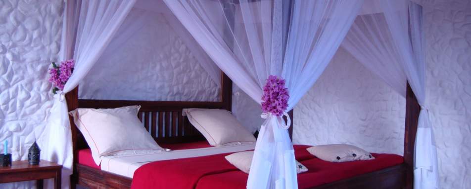 Guestroom - The Litchi Tree