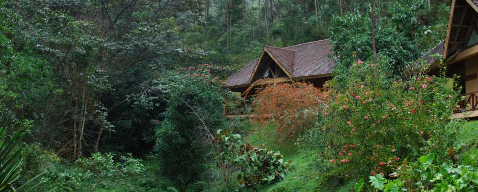 Exterior - Vakona Forest Lodge