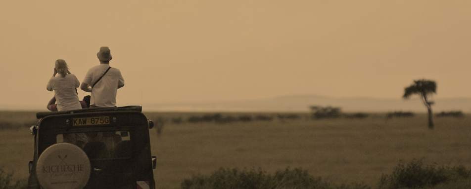 Game drive, Maasai Mara - Wildebeest and Lemurs