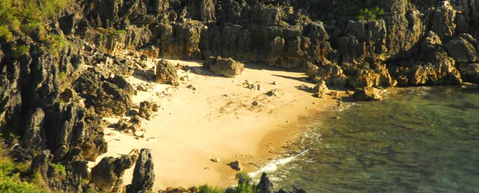 Anjajavy - Wildebeest and Lemurs