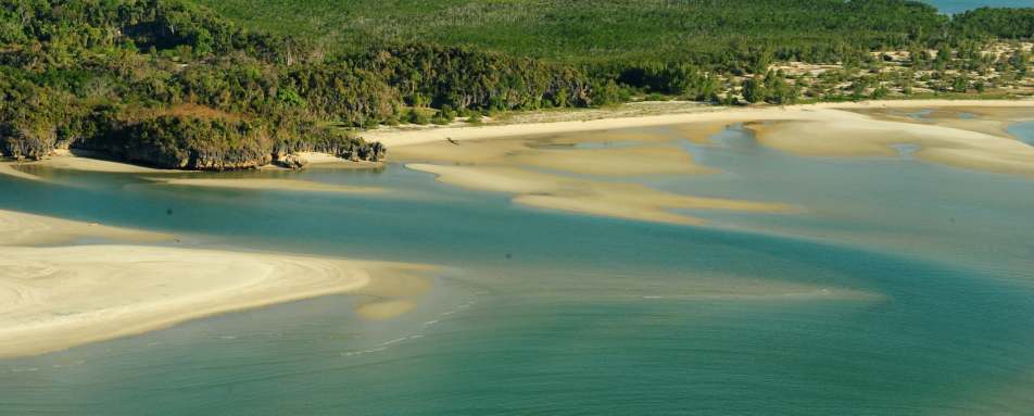 Anjajavy - Wildebeest and Lemurs