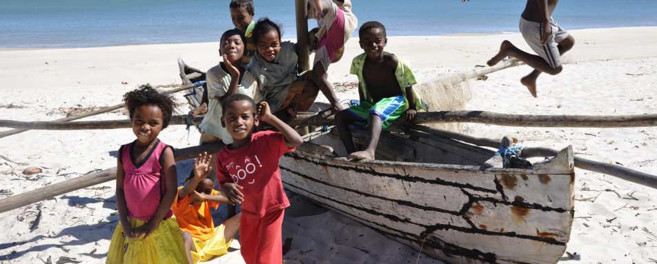 Anjajavy - Wildebeest and Lemurs