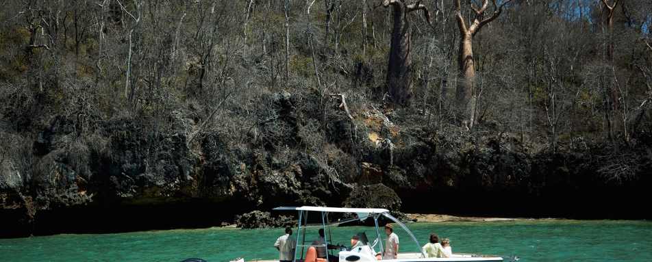 Boat trip, Anjajavy  - Wildebeest and Lemurs
