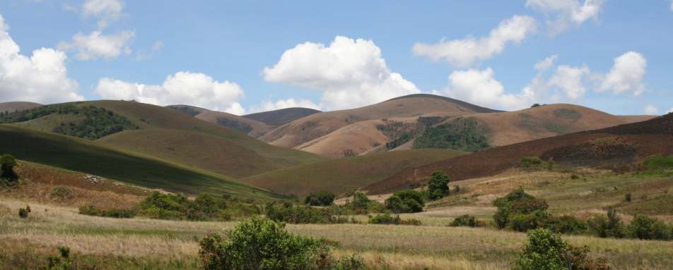 Nyika National Park - Chelinda Lodge