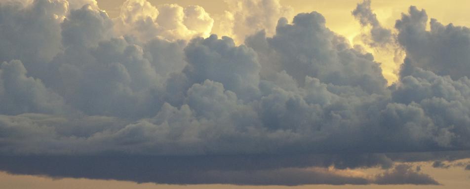 Roan - Chelinda Lodge