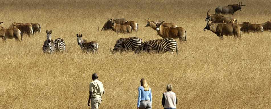 Walking on the Nyika - Chelinda Lodge