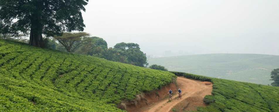 Mountain biking - Huntingdon House 