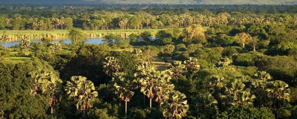 Liwonde - Explore the highlights of Malawi