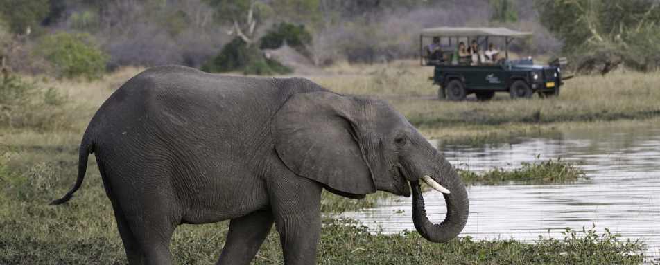 Game drive in Liwonde 