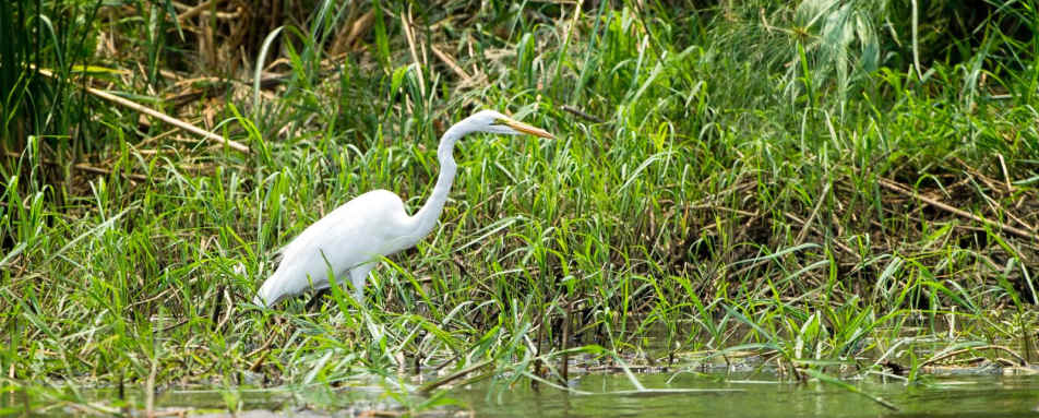 Majete Wildlife Reserve - Malawi Safari and Lake 