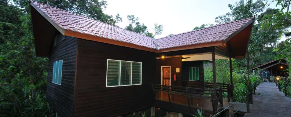 Semi Detach  - Abai Jungle Lodge