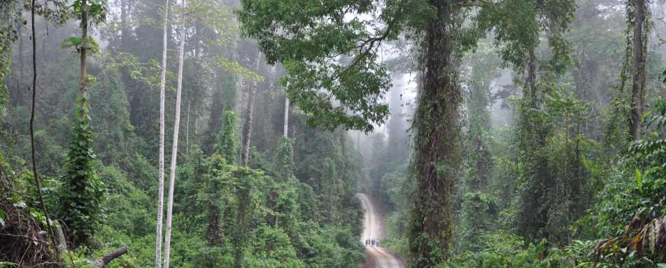 Danum Valley - Borneo Rainforest Lodge