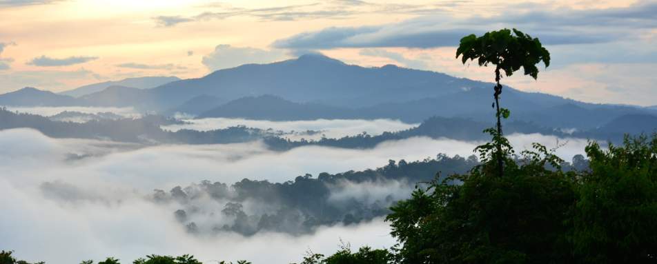 Danum Valley - Borneo Rainforest Lodge