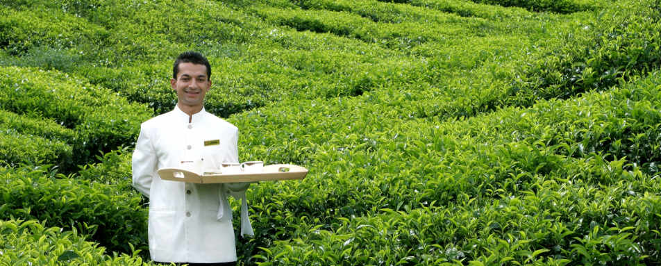 Destination Dining - Cameron Highlands Resort