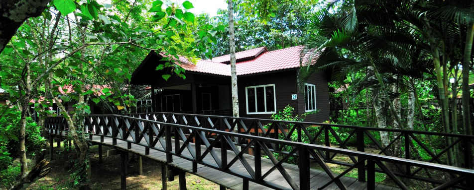 Chalet - Kinabatangan Riverside Lodge