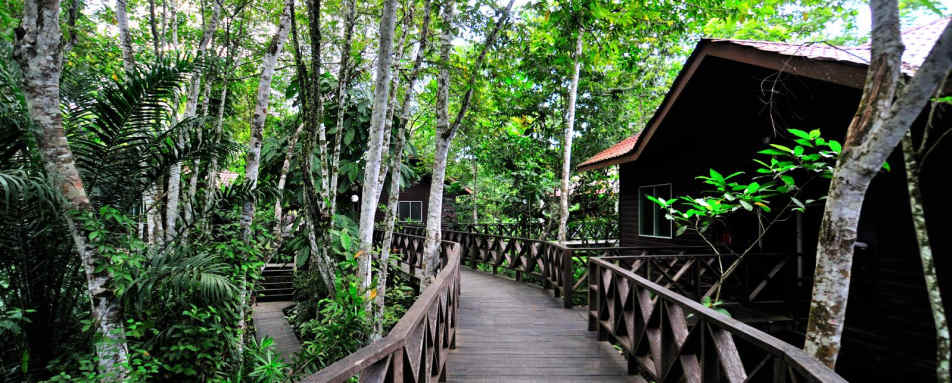 Chalet path - Kinabatangan Riverside Lodge