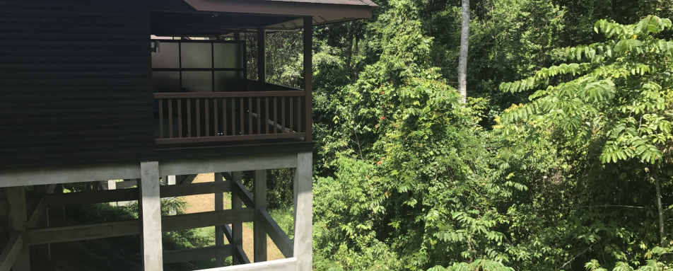 Chalet Exterior - MY Nature Resort