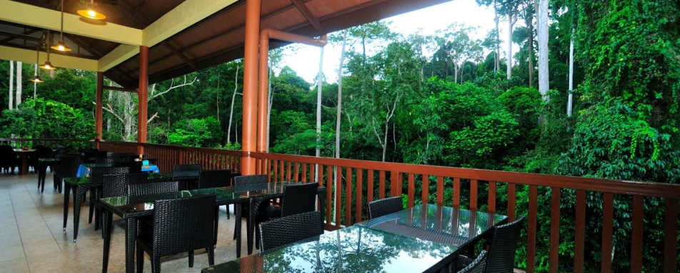 Restaurant Terrace - MY Nature Resort