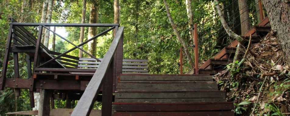 Boardwalk - MY Nature Resort